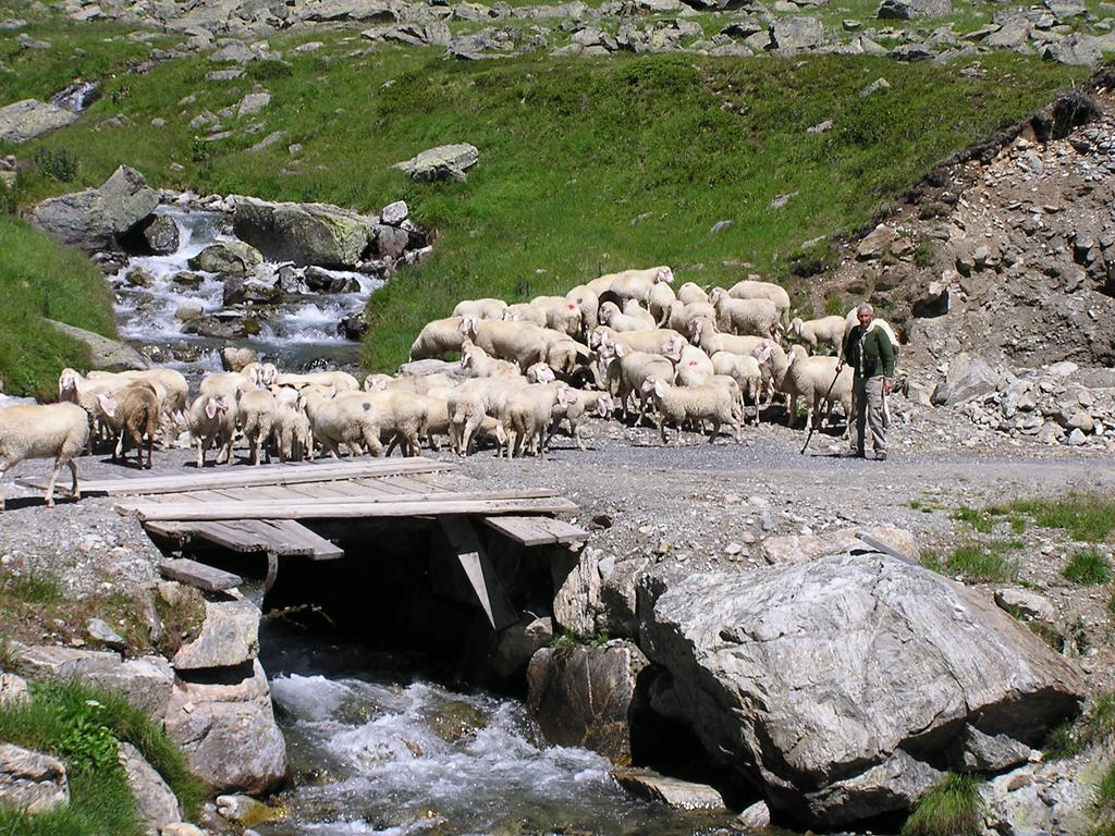 Hotel Silvretta Kappl  Eksteriør billede